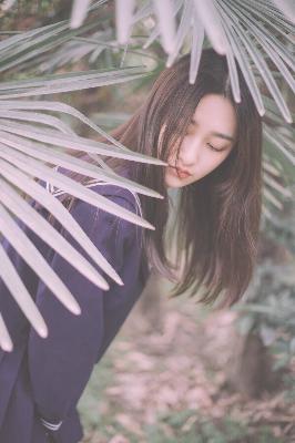 杨思敏1一5集国语版免费